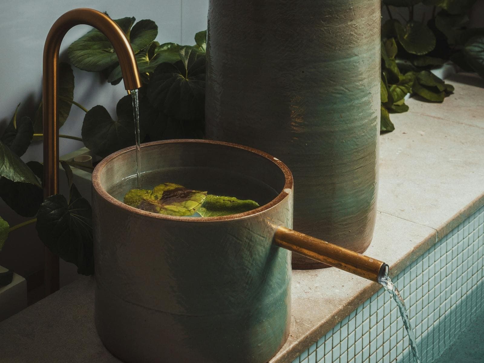 Capybara Bathing - 3