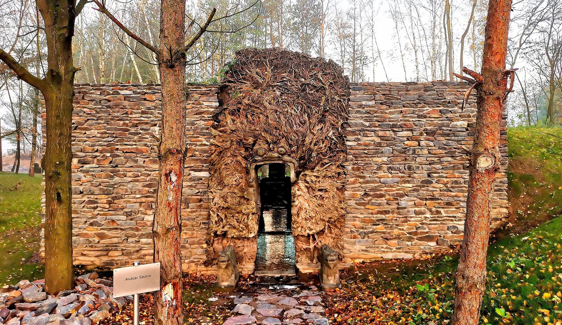 Elaisa Energetic Wellness - 3